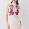 Coupon 😀 Karen Millen Rose Guipure Lace Mini 👗 Dress 🛒