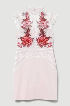 Coupon 😀 Karen Millen Rose Guipure Lace Mini 👗 Dress 🛒 -OCCASION DRESSES Sale2023 bkk08197 rose xl 3